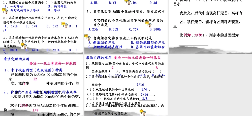 1.2《孟德尔的豌豆杂交实验》课件5
