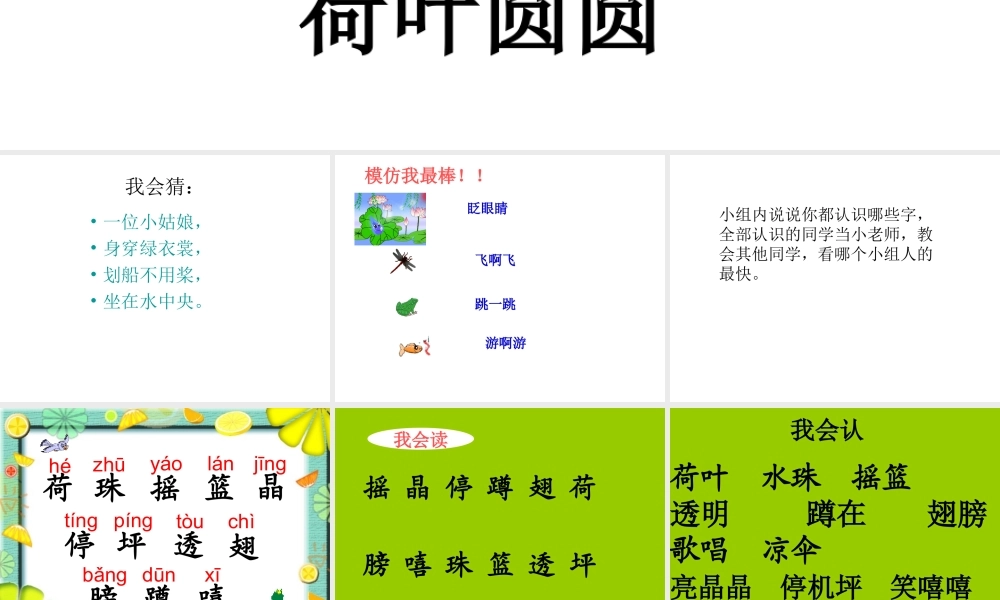 《荷叶圆》课件