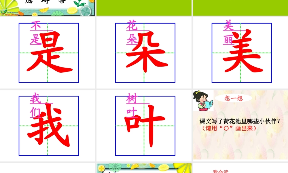 《荷叶圆》课件