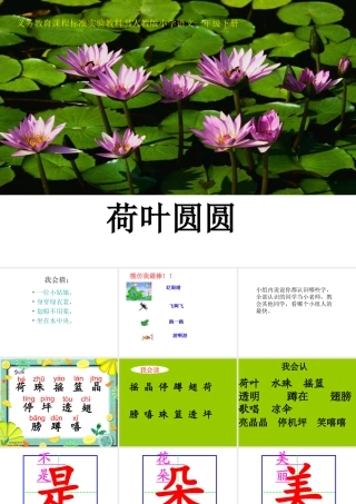 《荷叶圆》课件