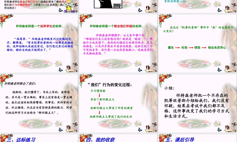 一个这样的老师