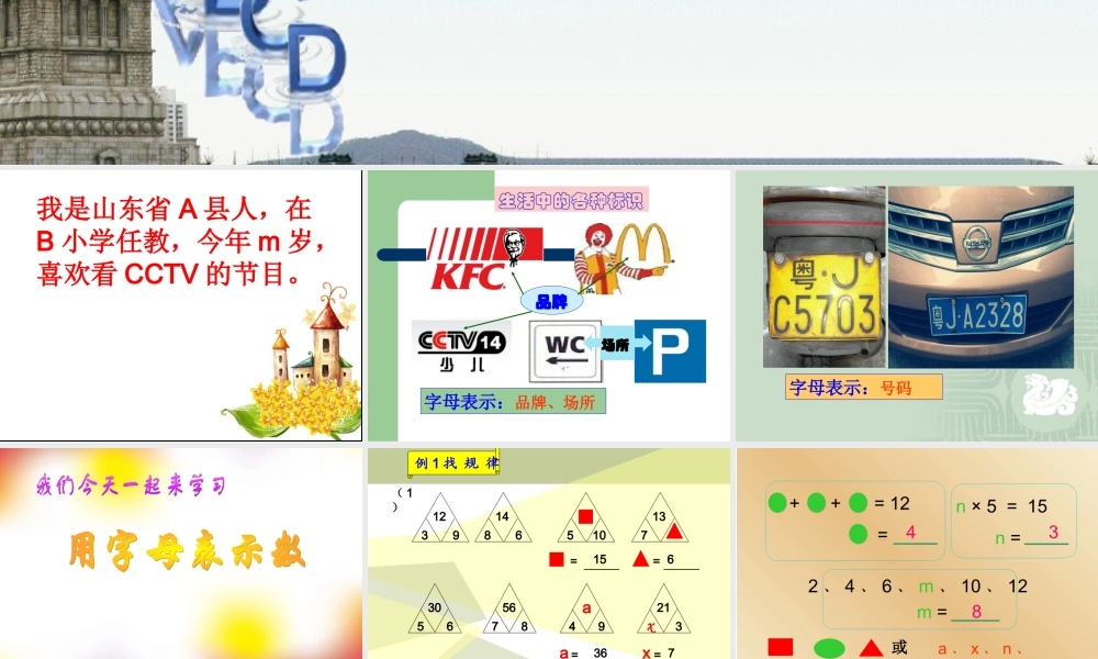 用字母表示数(例1、例2、例3)-(2)-2