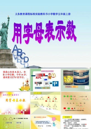 用字母表示数(例1、例2、例3)-(2)-2