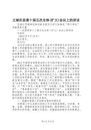 王斌在县委十届五次全体(扩大)会议上的讲话
