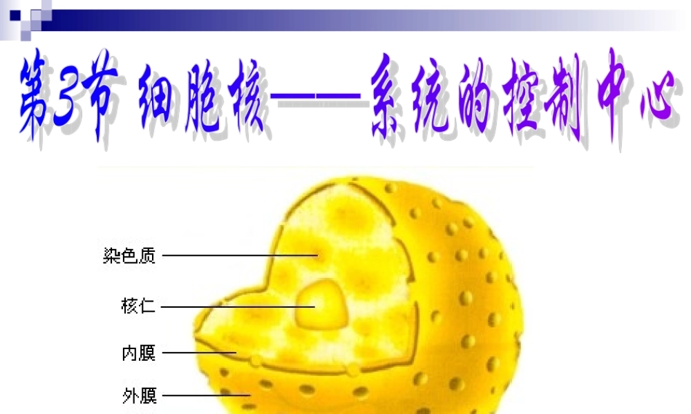 3.3细胞核(公开课)