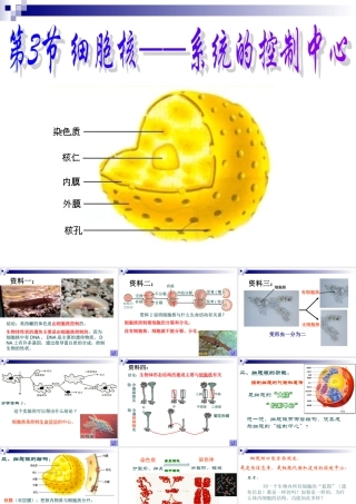 3.3细胞核(公开课)