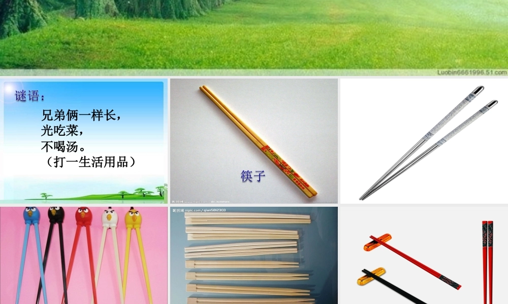 3.三年级上册科学精典课件-3.5材料在水中的沉浮｜教科版(共40张PPT)