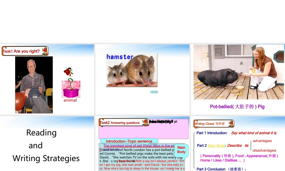 八年级英语下册 Unit8 reading and writing课件 人教新目标版 课件