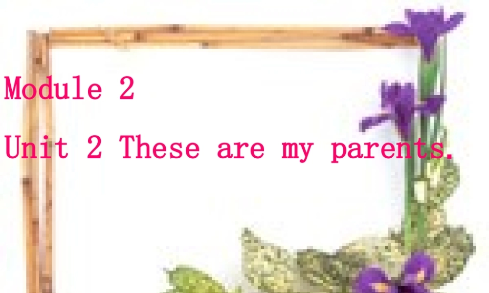 七年级英语Module2 Unit 2 These are my parents课件 外研版 课件