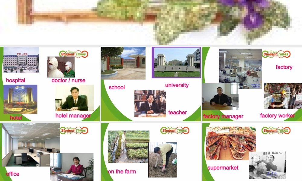 七年级英语Module2 Unit 2 These are my parents课件 外研版 课件