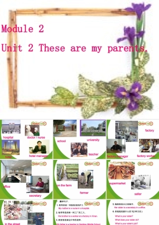 七年级英语Module2 Unit 2 These are my parents课件 外研版 课件