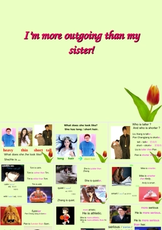 八年级英语上册 unit6 I am more outgoing than my sister课件 人教新目标版 课件