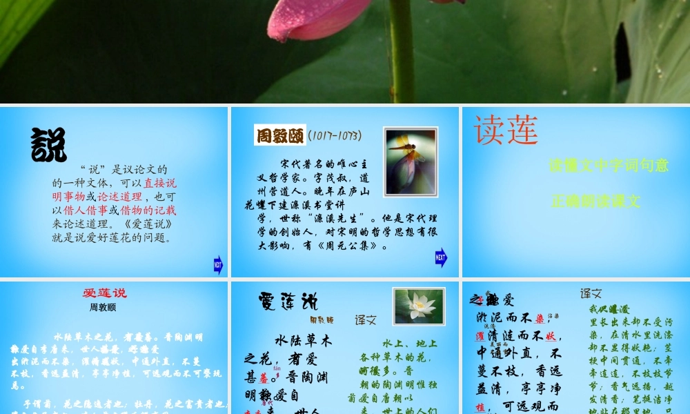 中学七年级语文下册 第21课 爱莲说课件 (新版)苏教版 课件