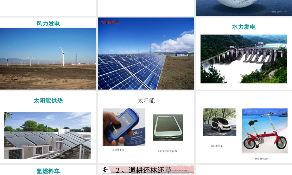 科学·技术·社会-退耕还林还草-(2)