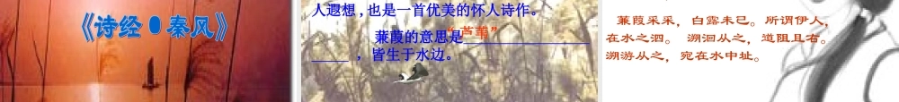 九年级语文(诗经二首)课件  苏教版 课件