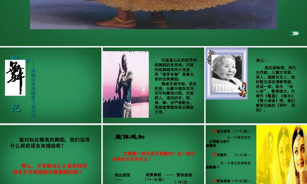 中学七年级语文下册(第19课 观舞记)课件 新人教版