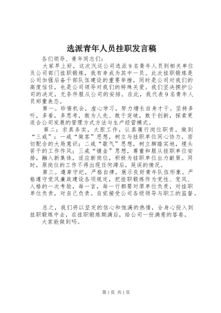 选派青年人员挂职发言稿