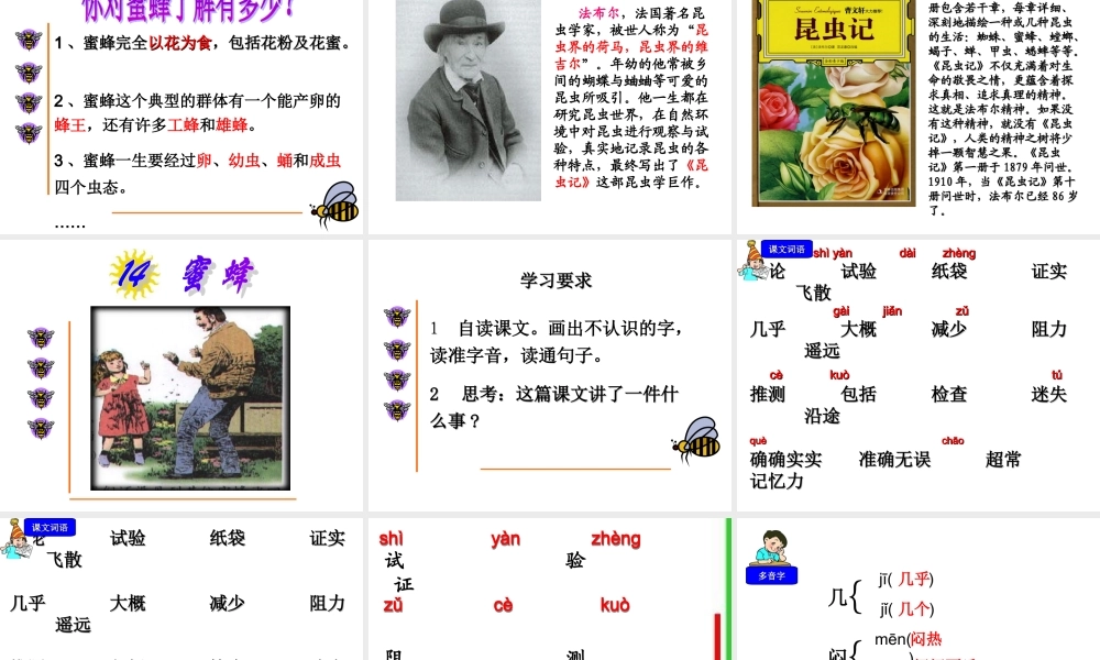 2015春鲁教版语文三下《蜜蜂》ppt课件1