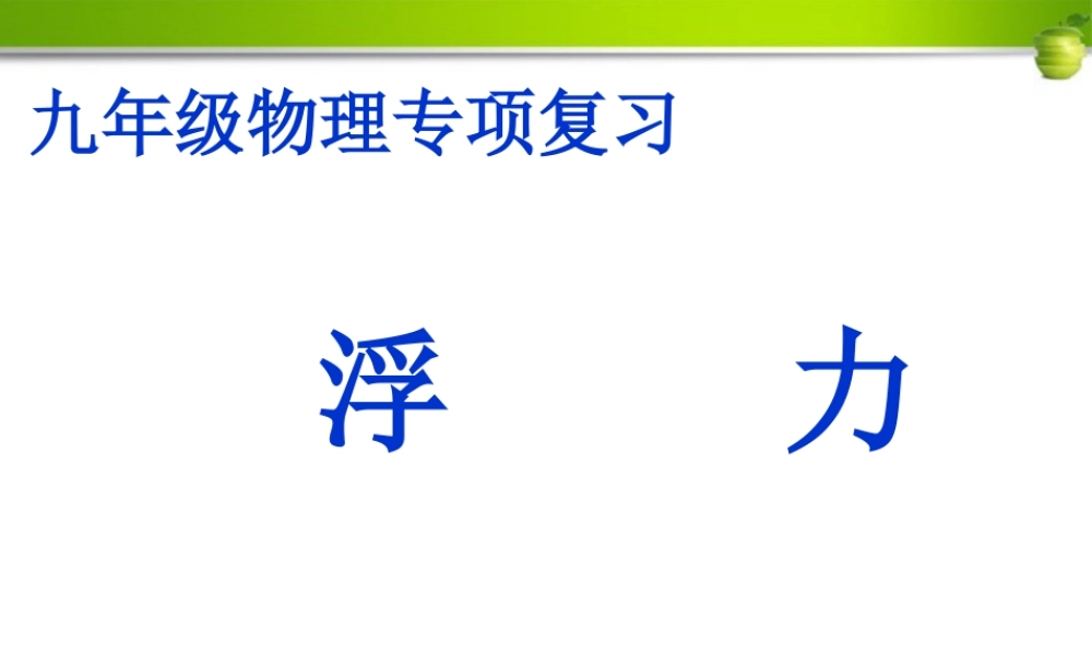 九年级物理 浮力专项复习课件 人教新课标版 课件