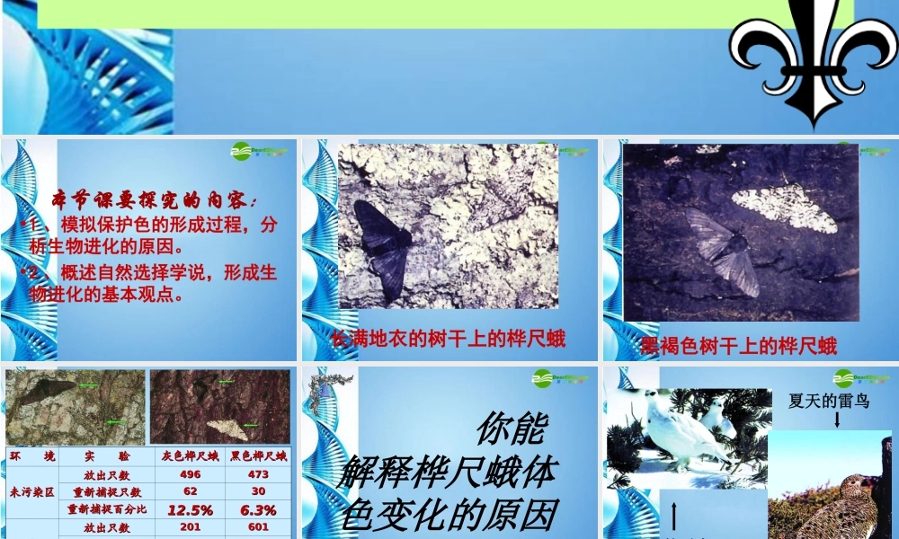 八年级生物下册 第五单元第一章第四节生物进化的原因课件 济南版 课件