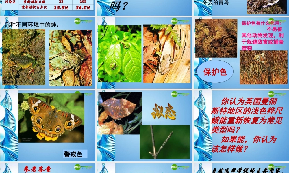 八年级生物下册 第五单元第一章第四节生物进化的原因课件 济南版 课件