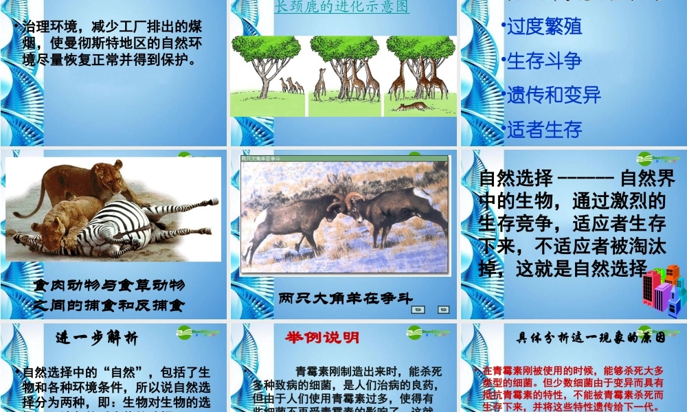 八年级生物下册 第五单元第一章第四节生物进化的原因课件 济南版 课件