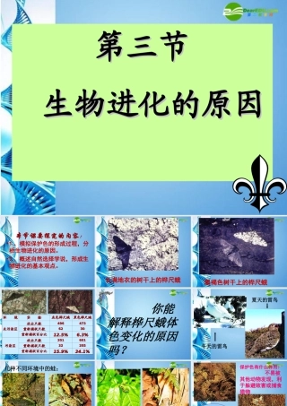 八年级生物下册 第五单元第一章第四节生物进化的原因课件 济南版 课件