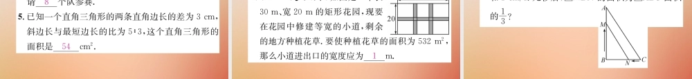 九年级数学上册 第2章 一元二次方程 26 应用一元二次方程(1)作业课件 (新版)北师大版 课件