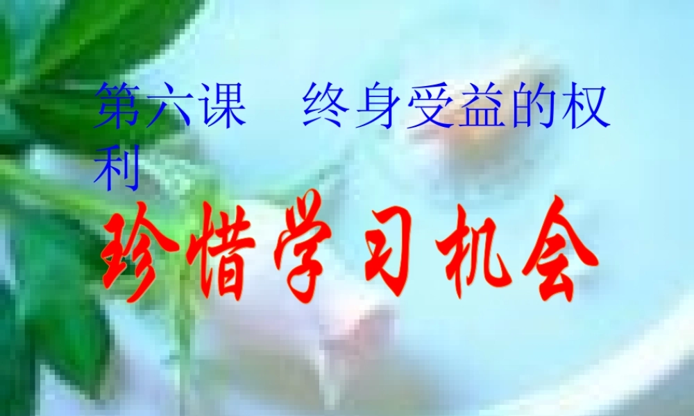 八年级政治下第六课 终身收益的权利 珍惜学习机会 课件人教版 课件