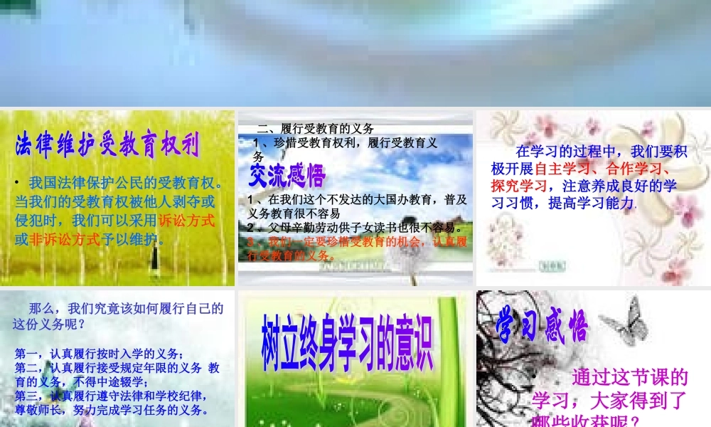 八年级政治下第六课 终身收益的权利 珍惜学习机会 课件人教版 课件