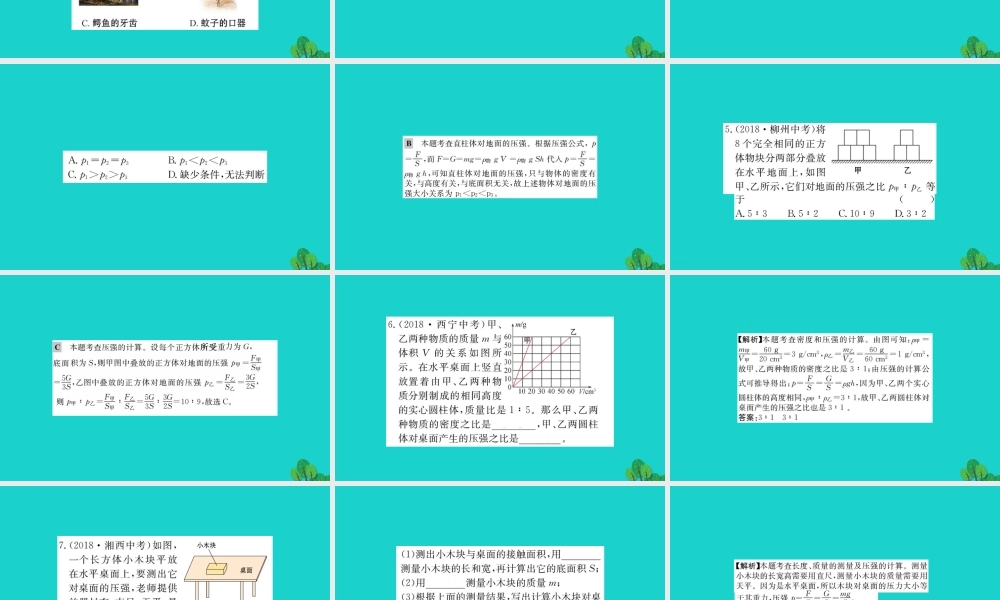 八年级物理下册 9.1 压强习题课件 (新版)新人教版 课件