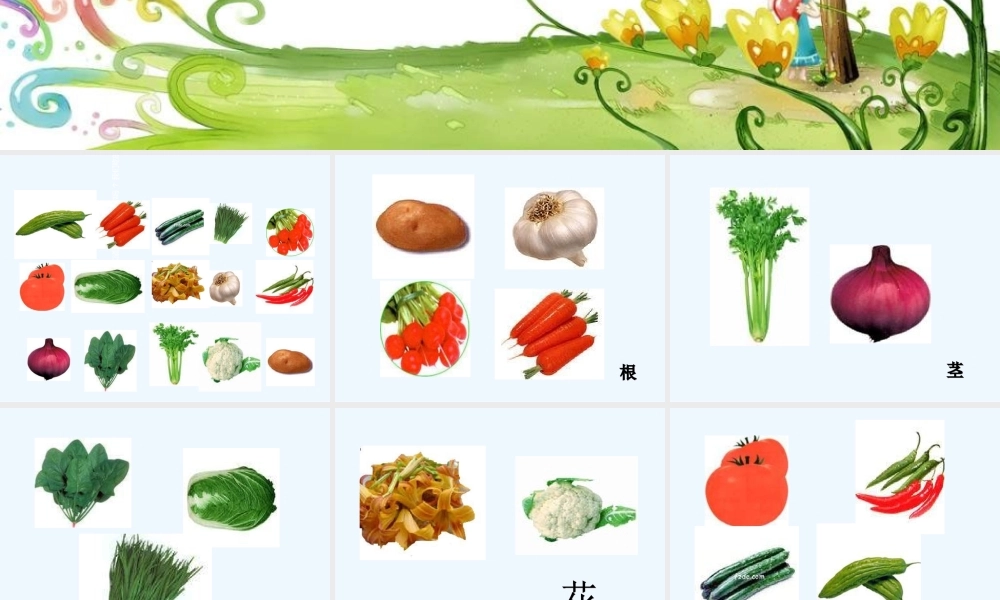 幼儿园大班科学《吃植物的哪部分》课件