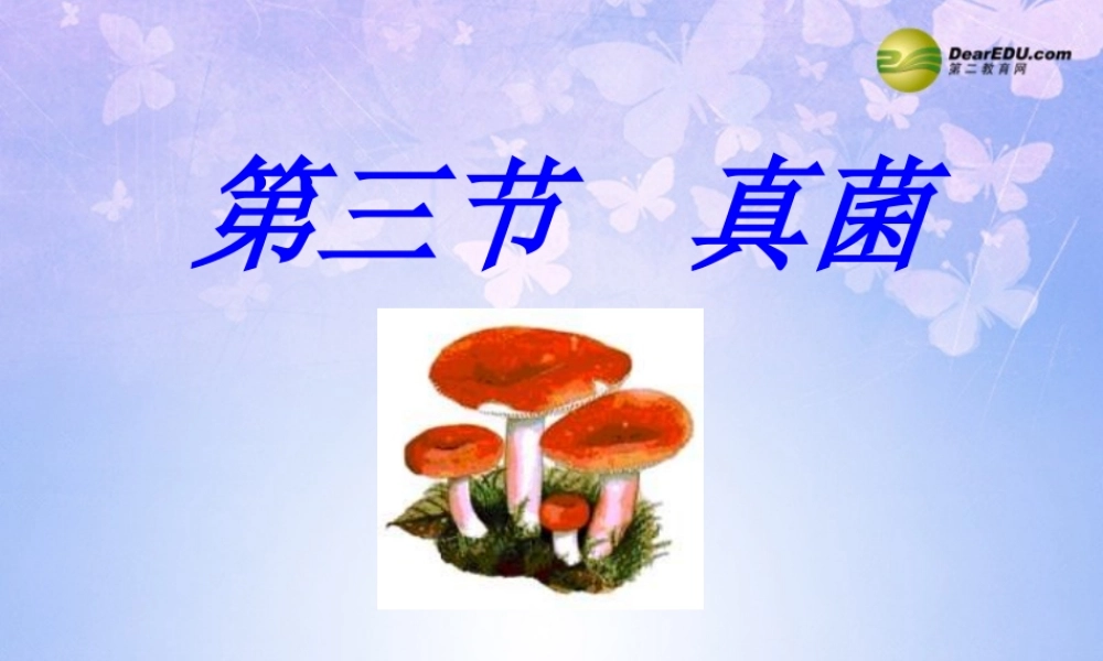 中学八年级生物上册 5.4.3 真菌课件 新人教版 课件