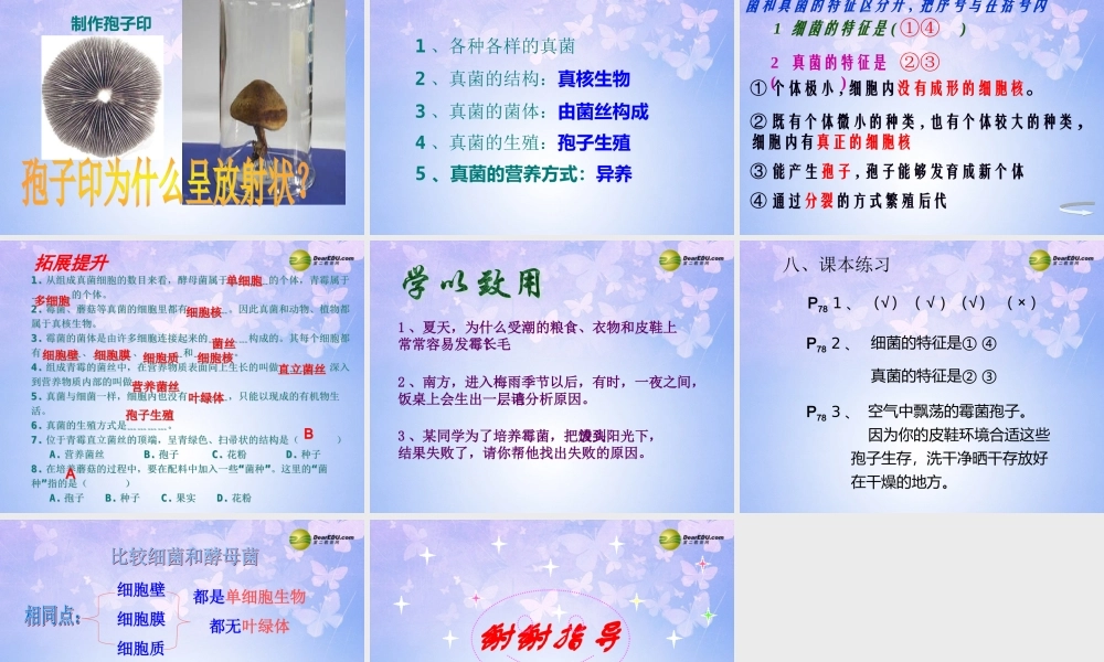 中学八年级生物上册 5.4.3 真菌课件 新人教版 课件