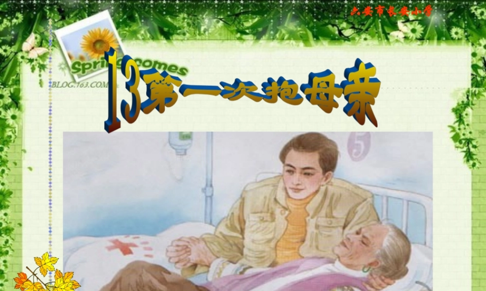 13[1].第一次抱母亲(第二课时)