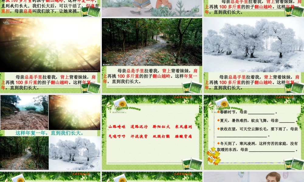 13[1].第一次抱母亲(第二课时)