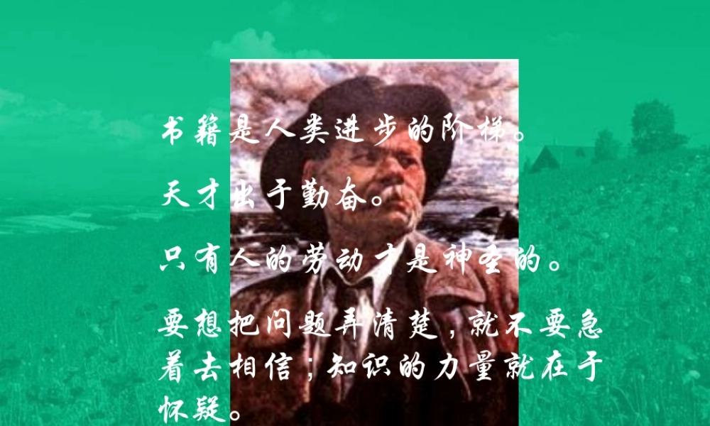 初中语文(海燕)课件