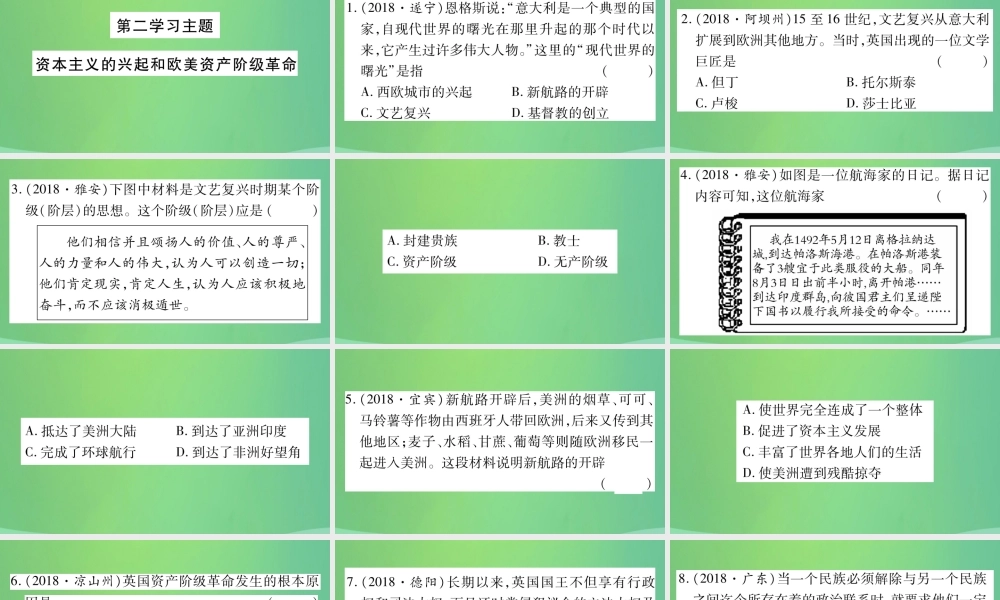 中考历史复习 第一篇 教材系统复习 4 世界古、近代史 第二学习主题 资本主义的兴起和欧美资产阶九年级革命习题课件