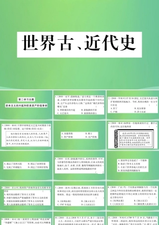 中考历史复习 第一篇 教材系统复习 4 世界古、近代史 第二学习主题 资本主义的兴起和欧美资产阶九年级革命习题课件