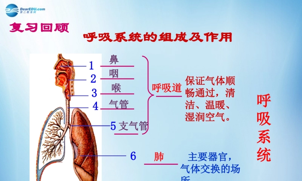 中学七年级生物下册 第三章 第二节 发生在肺内的气体交换课件 (新版)新人教版
