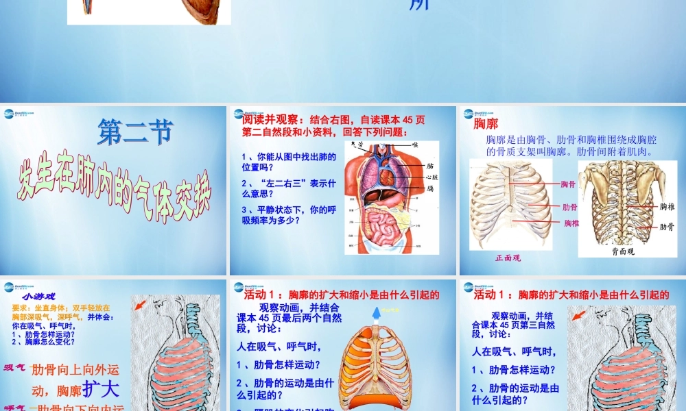 中学七年级生物下册 第三章 第二节 发生在肺内的气体交换课件 (新版)新人教版