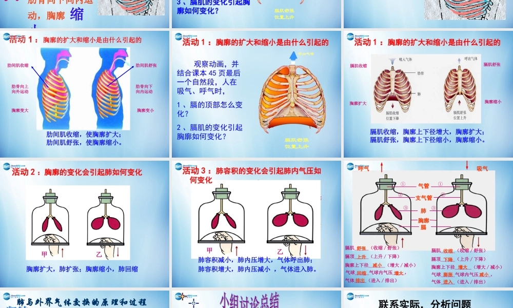 中学七年级生物下册 第三章 第二节 发生在肺内的气体交换课件 (新版)新人教版