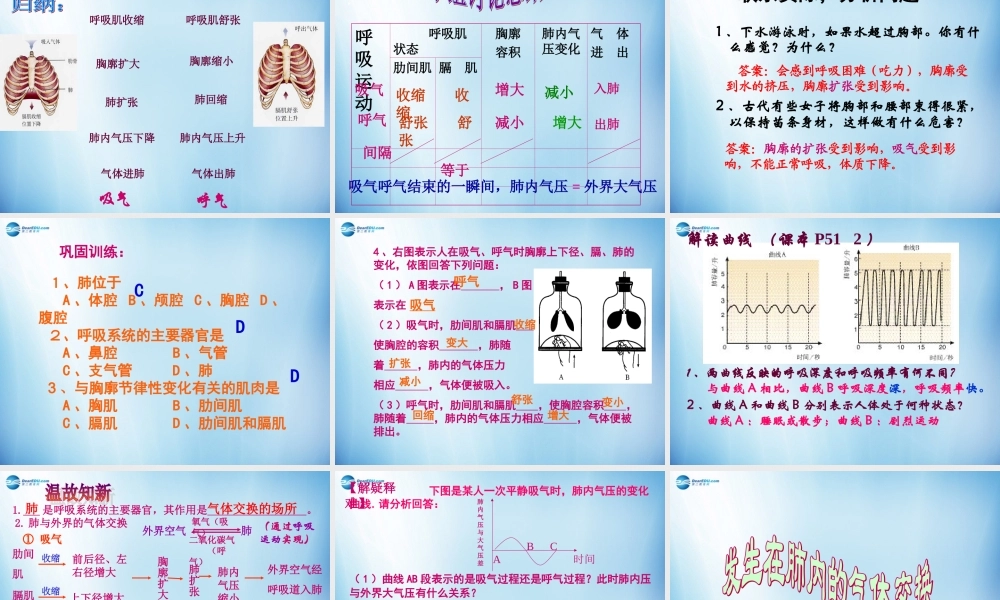 中学七年级生物下册 第三章 第二节 发生在肺内的气体交换课件 (新版)新人教版