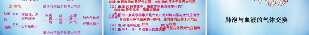 中学七年级生物下册 第三章 第二节 发生在肺内的气体交换课件 (新版)新人教版
