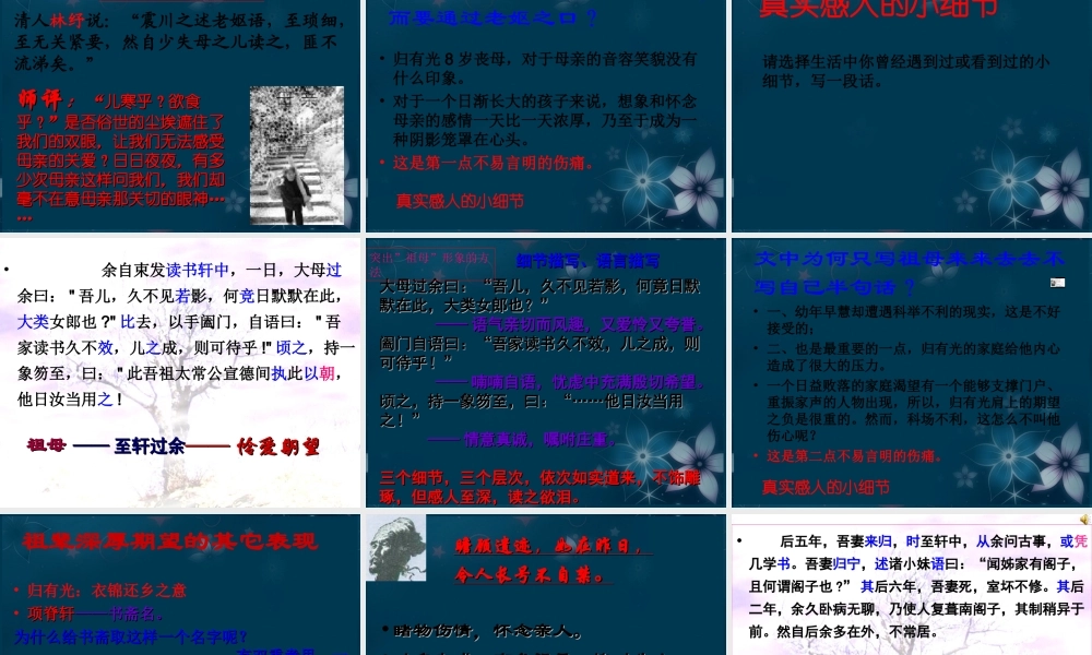 山东省沂水一中高二语文(项脊轩志(2))课件 新人教版 课件