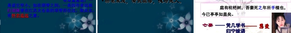 山东省沂水一中高二语文(项脊轩志(2))课件 新人教版 课件