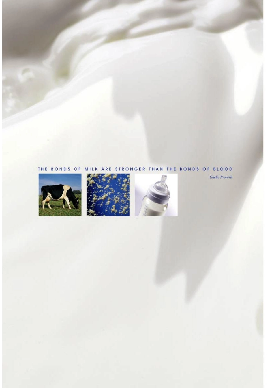 乳制品加工工艺_第2页