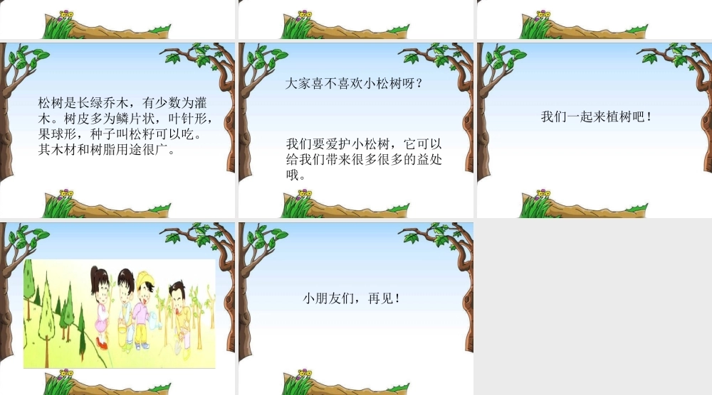 小松树(童声独唱)课件