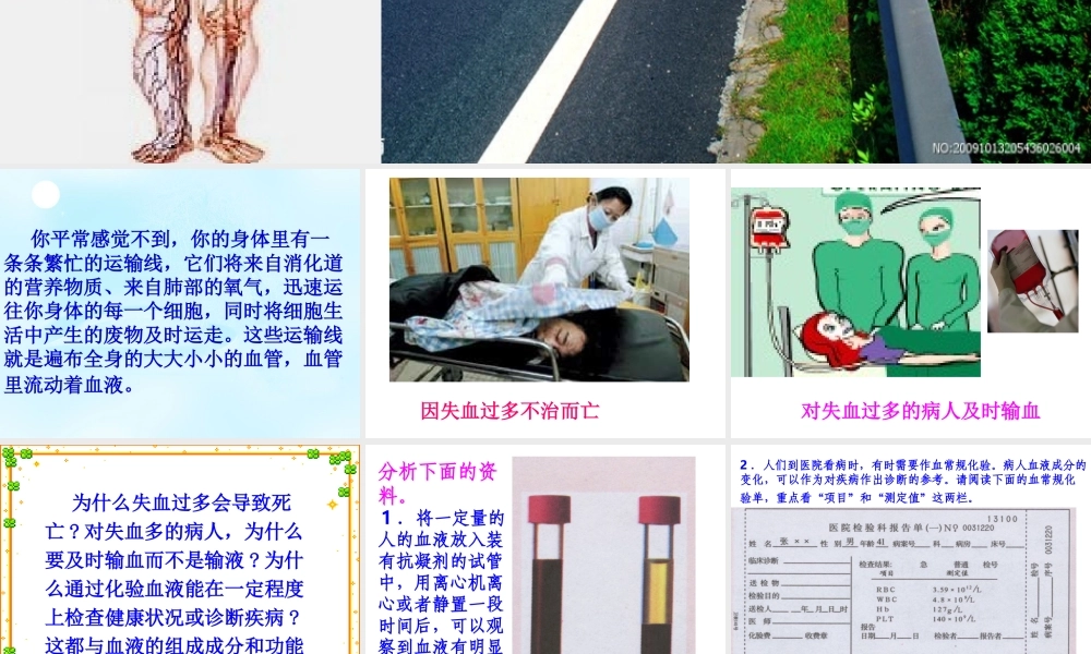 科学-技术-社会-干细胞和造血干细胞研究