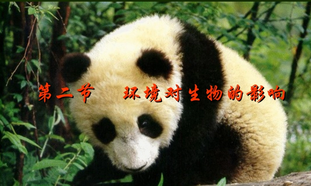 七年级生物环境对生物的影响课件 鲁教版 课件